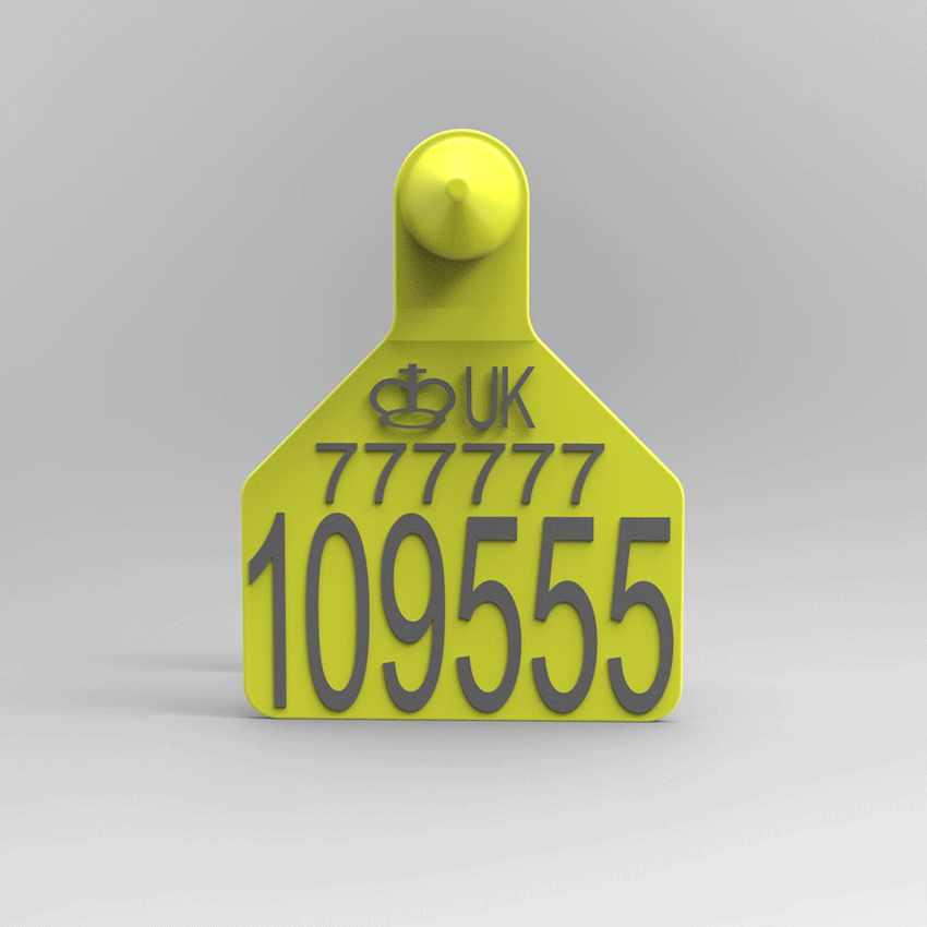 Cizer Tag Zee Tag Large Yellow Official ID Tags – Lazer Tags