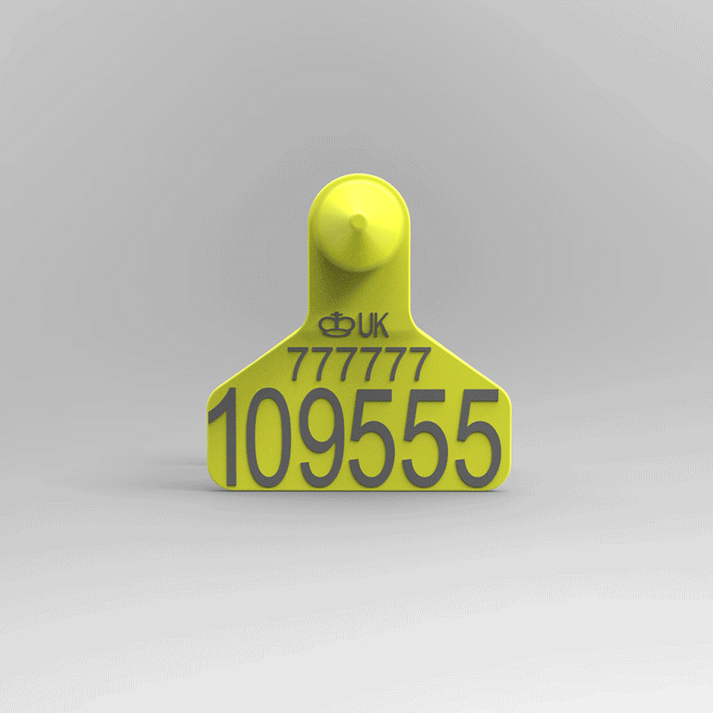 Modalex Offical Tags Zee Tag Medium Yellow Official ID Tags – Lazer Tags
